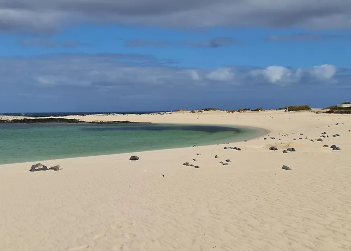 Cotillo Star By Nicolet
